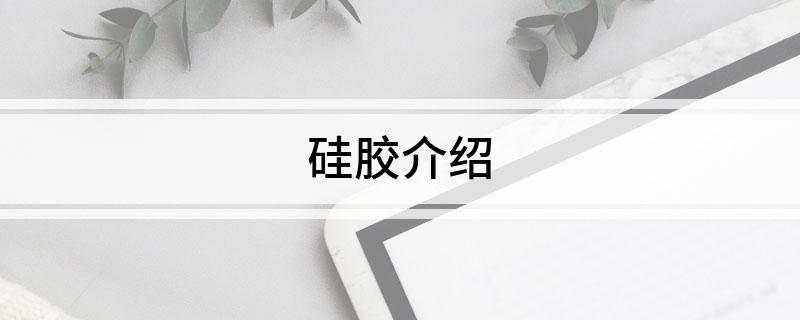 硅胶介绍(图1)